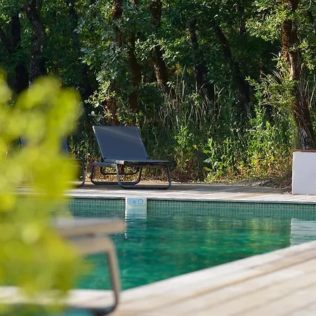 Sous Les Oliviers - Climatises De Standing Tout-equipes Bed & Breakfast Saint-Maximin